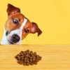 Dog thinking about pet food