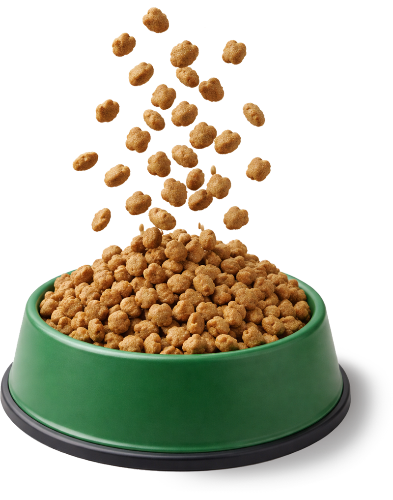 Willow Hypoallergenic Cat Food in a Bowl