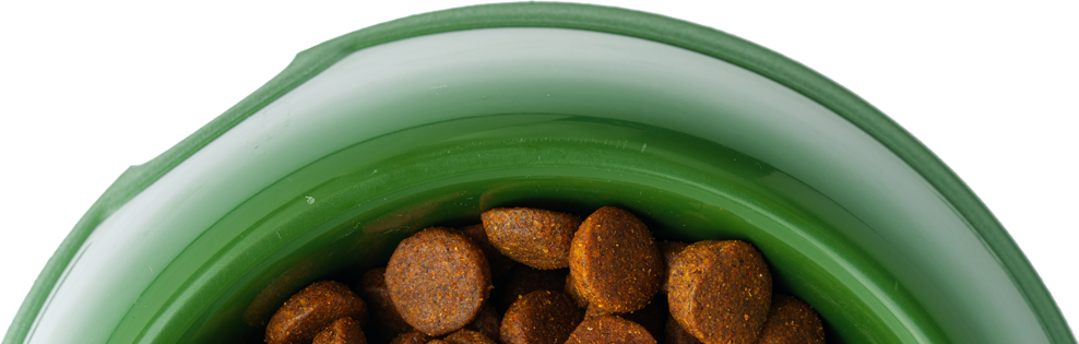 willow-hypoallergenic-food-bowl